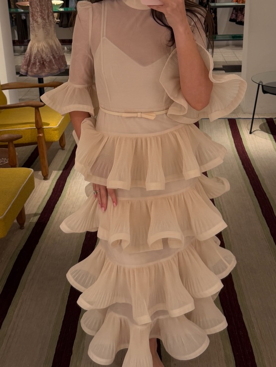 Zimmermann Dresses & Skirts - PLEATED SLEEVED MIDI DRESS